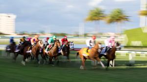Pegasus World Cup Turf Invitational Stakes, Gulfstream Park, America's Best Racing, horse racing, ABR